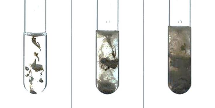 硫化银毒性图片